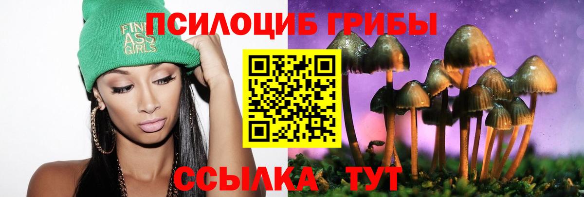 Псилоцибиновые грибы Psilocybe Воронеж