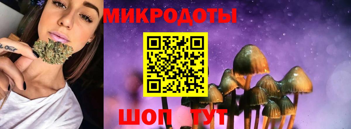 магазин продажи   Псилоцибиновые грибы мицелий  Псилоцибиновые грибы Magic Shrooms  Вход с VPN  Воронеж 